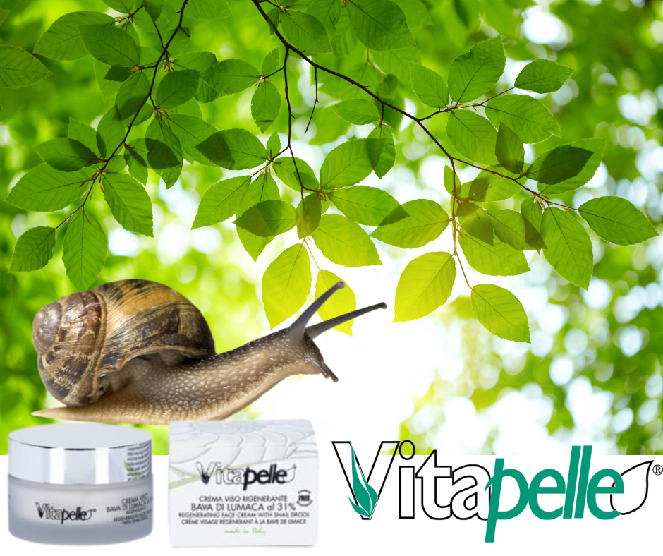 Linea bava di lumaca vita pelle